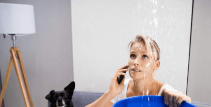 A photo featuring a woman holding a blue bucket that is positioned to catch water that is leaking through her ceiling. She is on the phone with her insurance agency to find out what her coverage is. There is a black and white dog on the left of the photo.