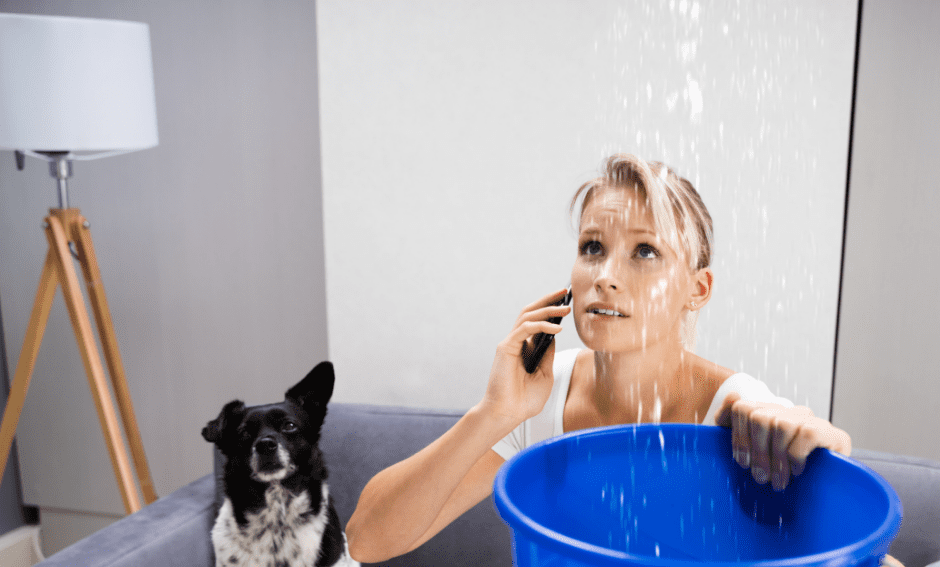 A photo featuring a woman holding a blue bucket that is positioned to catch water that is leaking through her ceiling. She is on the phone with her insurance agency to find out what her coverage is. There is a black and white dog on the left of the photo.