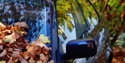 Car with fall leaves on windshield