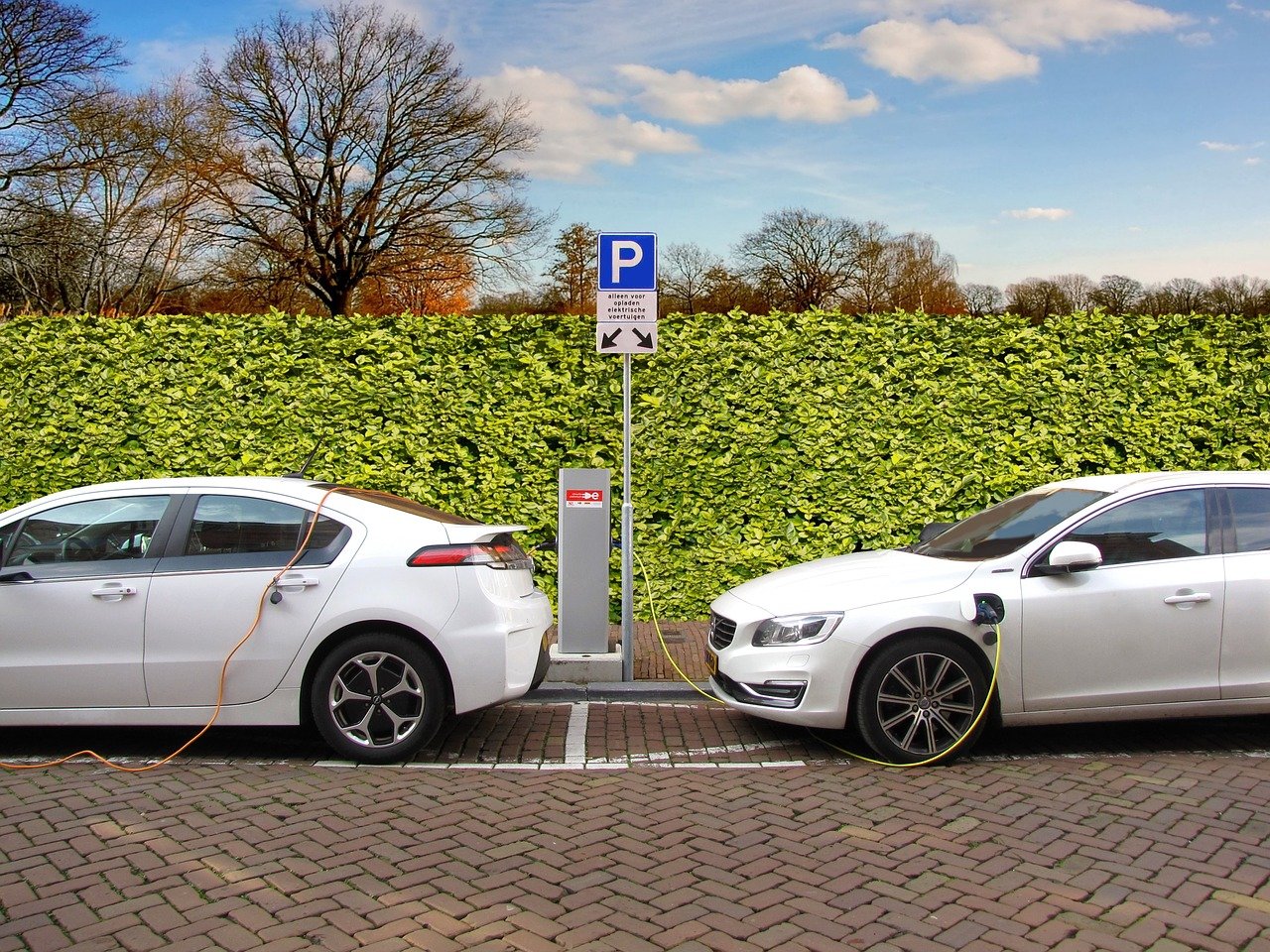 Two Parked White Electric Vehicles Getting Charged Alongside a Field