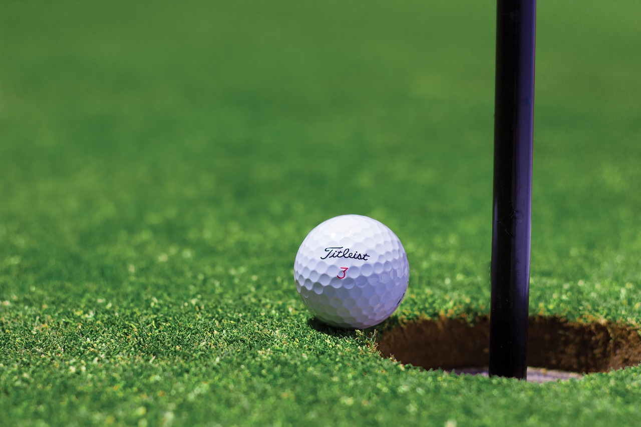 Golf bowl resting near hole