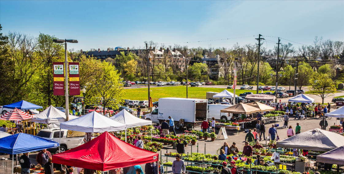 Farmers market with lots of canopies and plants