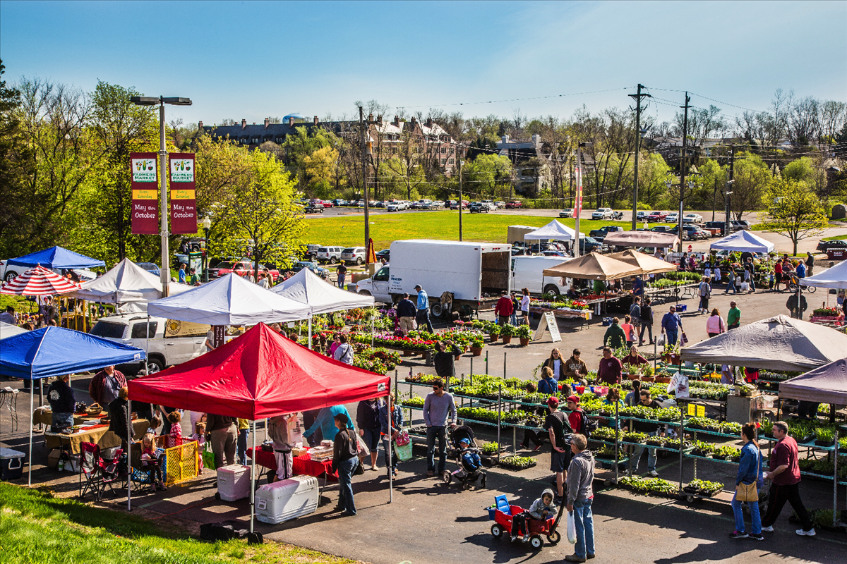 Farmers market with lots of canopies and plants